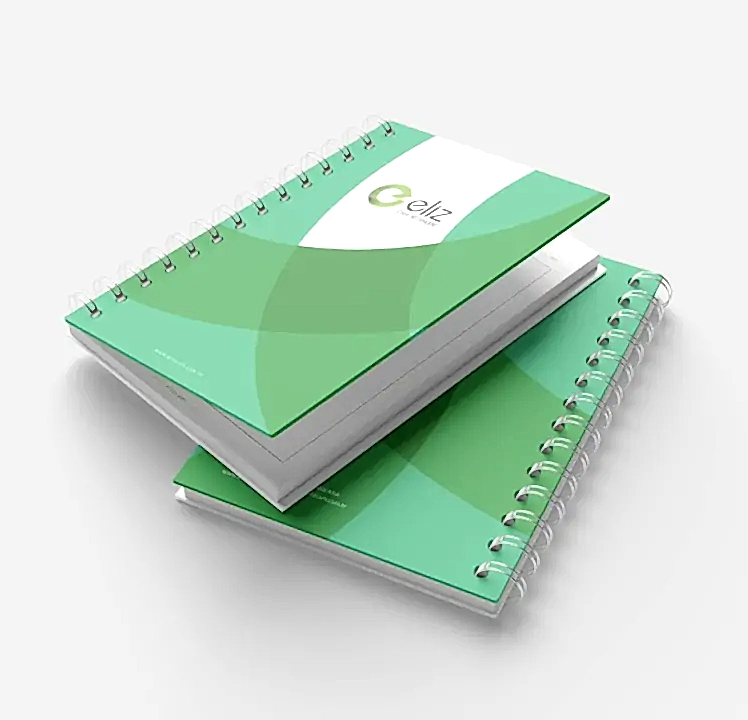 Eliz Cam Promosyon Tasarımı