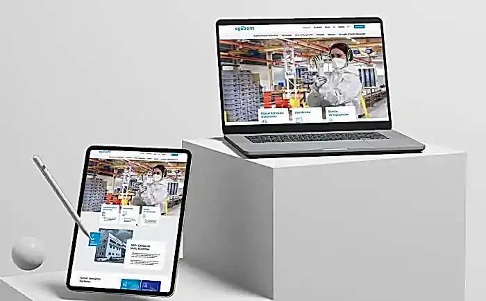 Egebant Responsive Web Tasarım 