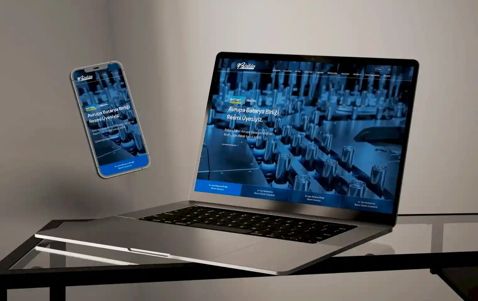 Birikim Pilleri Kurumsal Web Tasarım