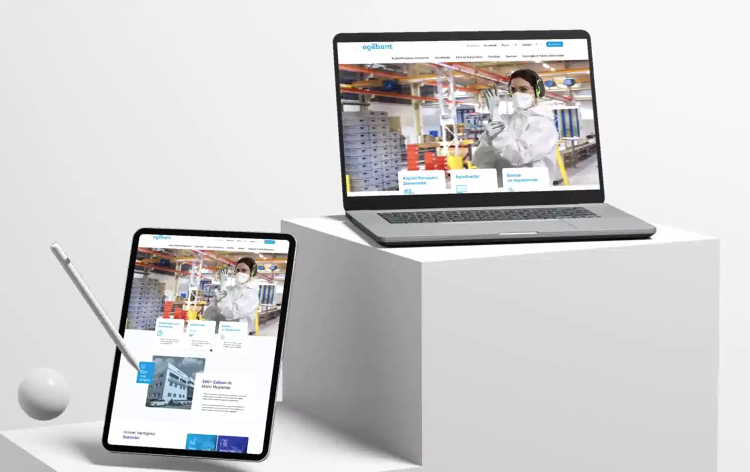 Egebant Web Tasarım